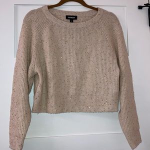 Sequin sweater never worn with tags